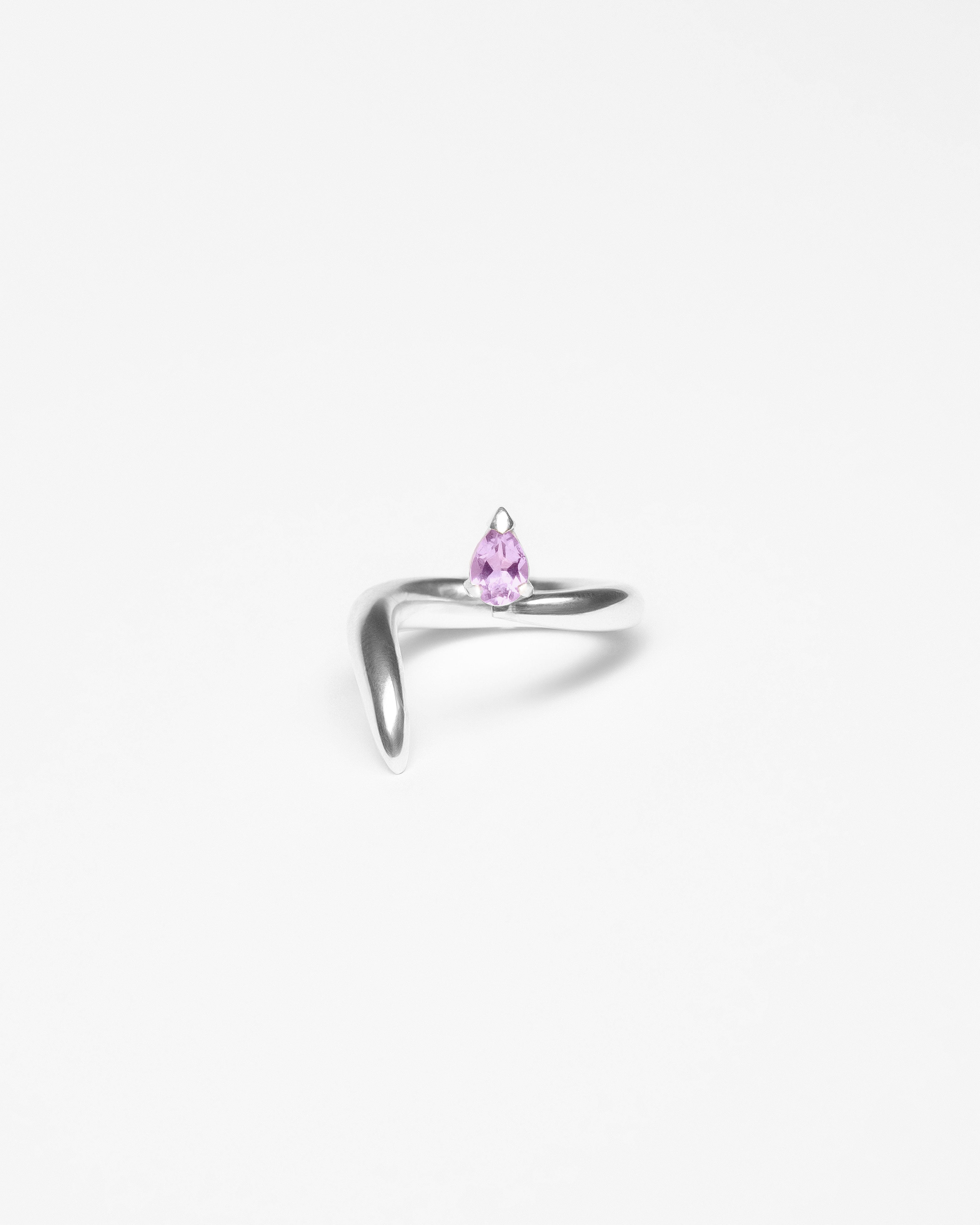 Ring 0445
