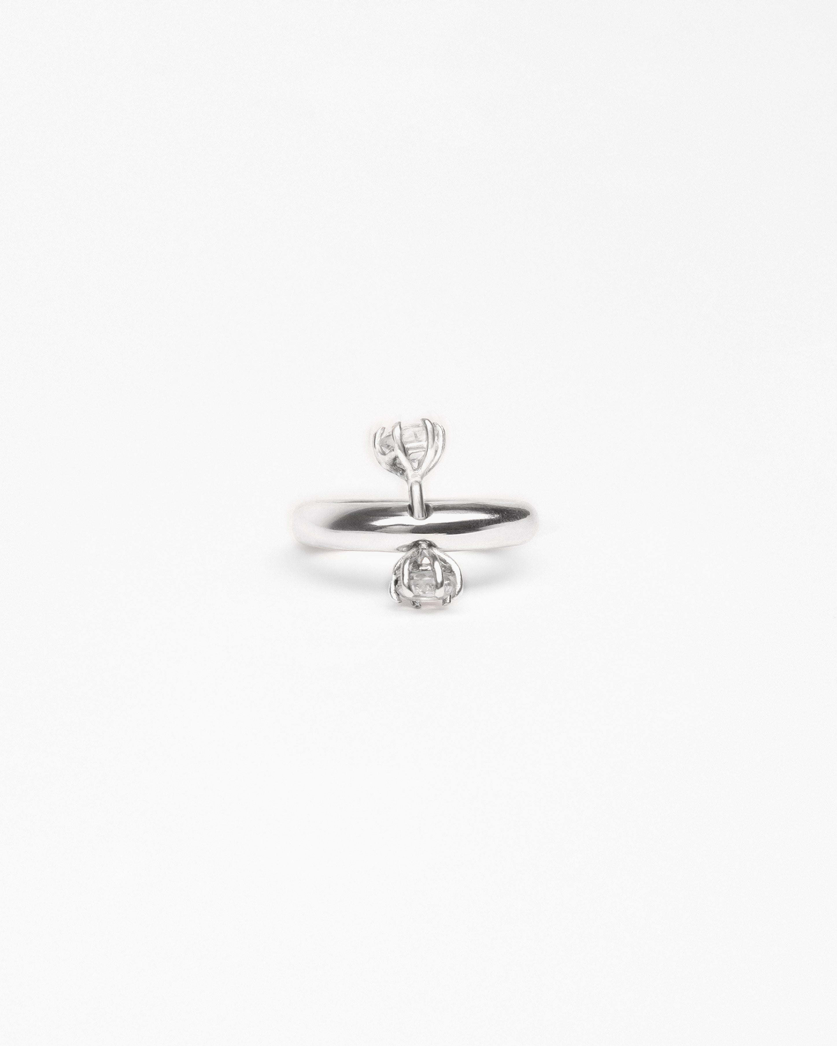 Ring 0245