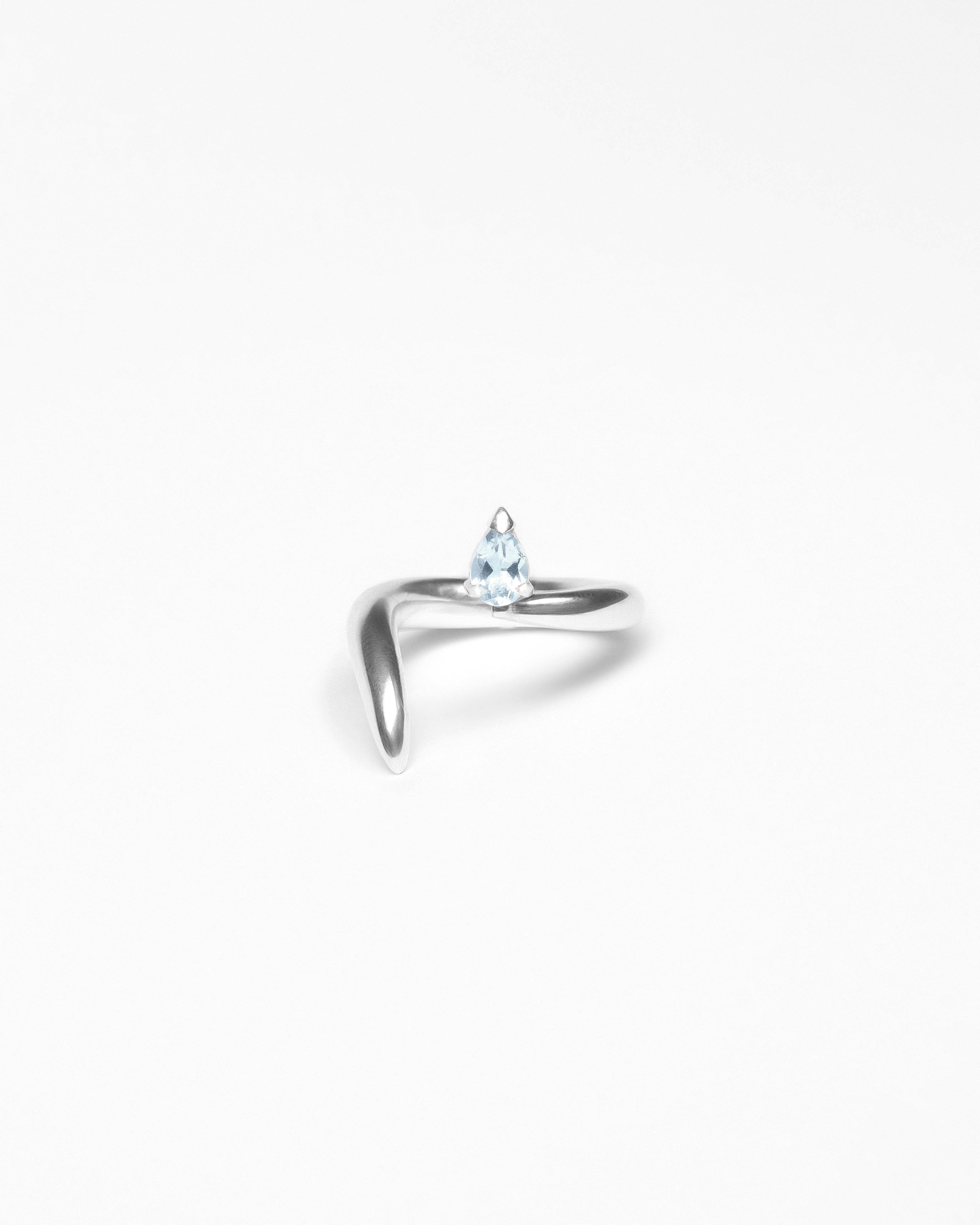 Ring 0445